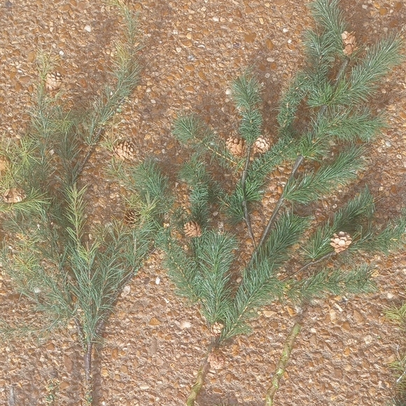 Other - Christmas Decor Artificial Pine Branches with Pinecones